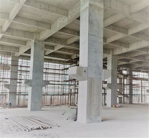 告别频繁搬迁，150万轻松拥有顺德标准厂房产权